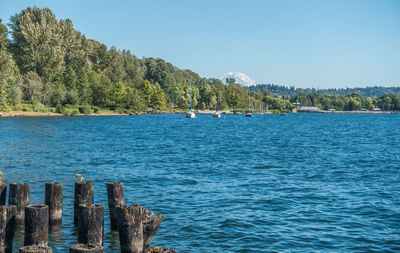 Scenic view of sea against clear blue sky