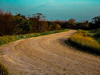 Road amidst trees against sky