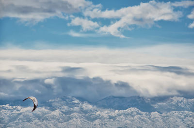 Low angle view of flying against sky