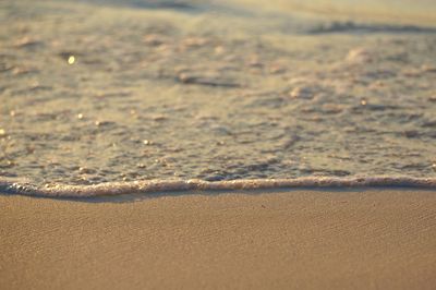 Scenic view of beach