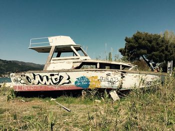 Close-up of plants against blue sky