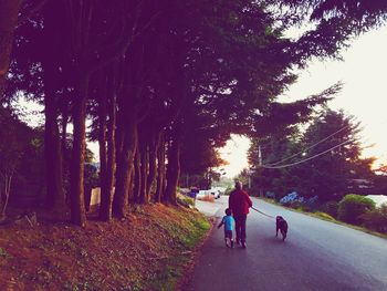 Rear view of people walking on road amidst trees