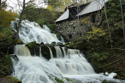 Scenic view of waterfall in forest