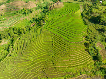 Scenic view of landscape