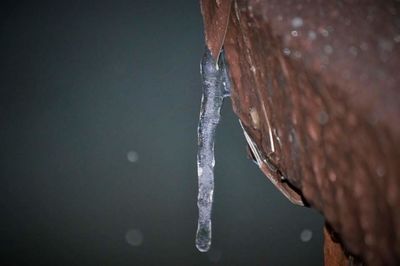 Close-up of water