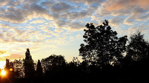 Silhouette trees against sky during sunset