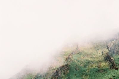 fog