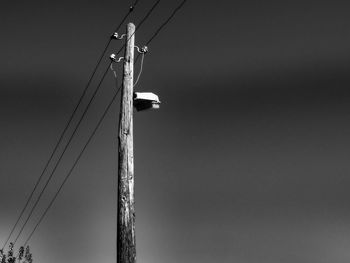 Low angle view of electricity cable against sky