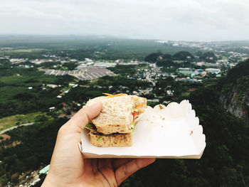 Close-up of hand holding sandwich.