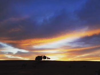 Silhouette trees on field against dramatic sky during sunset