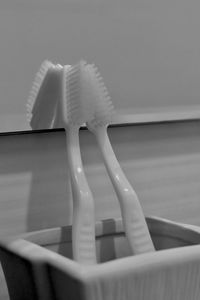 Close-up of hand holding umbrella