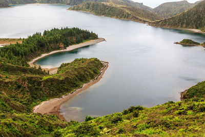 High angle view of lake amidst trees