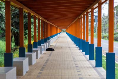 Empty corridor of building