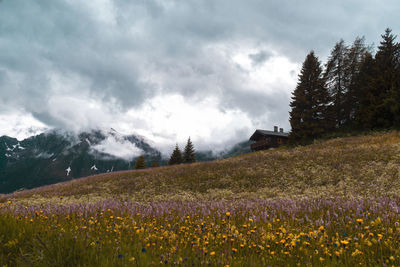 Scenic view of grassy field against cloudy sky