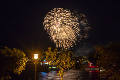 Firework display over river against sky at night