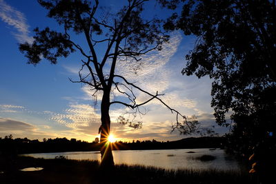 Reflection of trees in calm lake at sunset