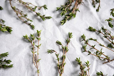 Thyme sprigs,