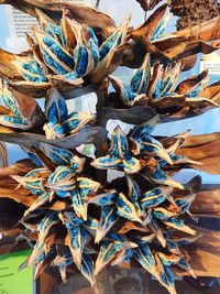 Close-up of decoration hanging against sky