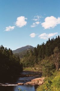 Scenic view of tree mountains against sky