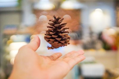 Cropped hand levitating pine cone