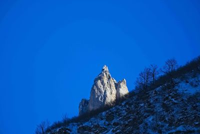 Low angle view of horse against clear blue sky
