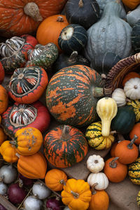 High angle view of pumpkins for sale at market stall