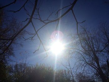 Low angle view of bare trees against sky