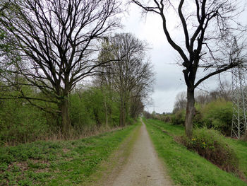 View of trees on landscape against sky