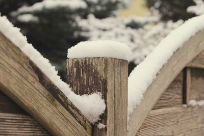 Close-up of frozen wood