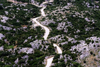 High angle view of winding road amidst trees