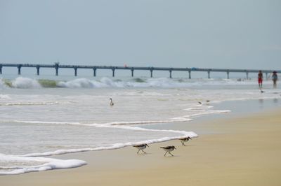 Waves on shore at beach