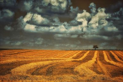 Scenic view of field against cloudy sky