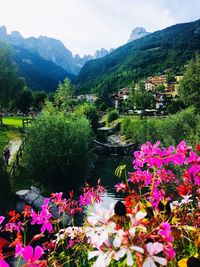 Scenic view of pink and mountains against sky