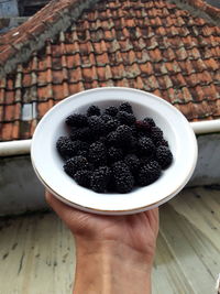 Close-up of hand holding food