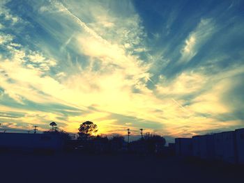 Silhouette of trees at sunset