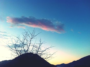 Low angle view of bare trees against sky