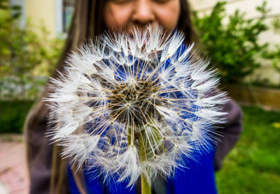 Midsection of woman with dandelion flower