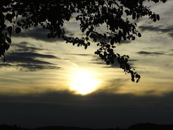 Low angle view of silhouette trees against sky during sunset