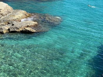 High angle view of rock in sea