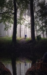 Man standing by tree trunk in forest