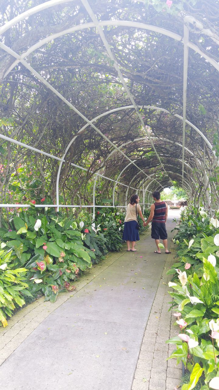 footpath, lifestyles, sunbeam, plant, lens flare, togetherness, day, growth, weekend activities, person, the way forward, garden path, summer, outdoors, green color, plantation