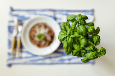 Close-up of vegetables in plate on table