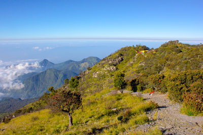 Scenic view of mountains against blue sky