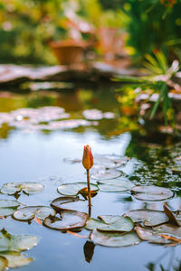 Close-up of water