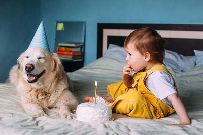 Labrador golden retriever together with a little cute child celebrate birthday
