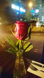 Close-up of rose in vase on table