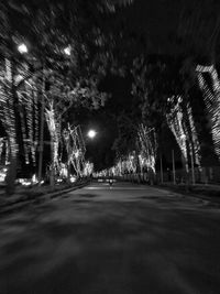 Illuminated trees in city at night