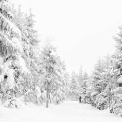 snow