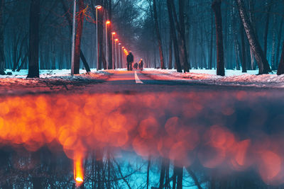 Surface level of wet road during winter at dusk