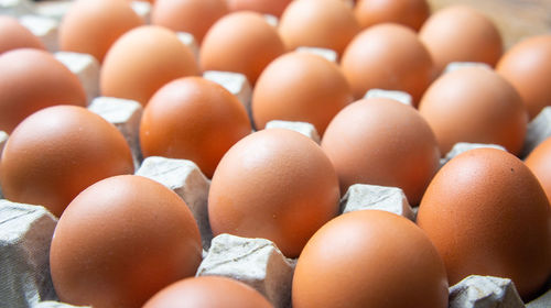 Close-up of eggs in row